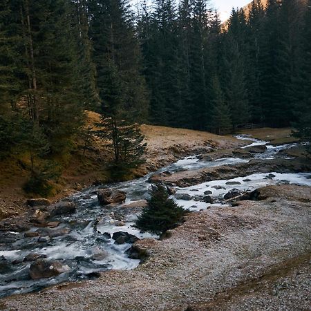 Stelza Nature Chalet Val di Vizze Zewnętrze zdjęcie
